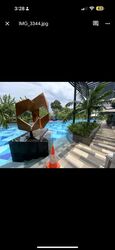 gem-residences photo thumbnail #10